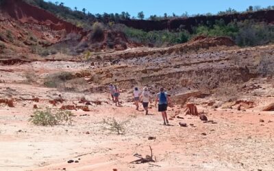 The Best Hiking and Trekking Trails in Northern Madagascar: A Hiker’s Paradise