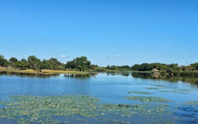 Why Sustainable Tourism Matters in Madagascar